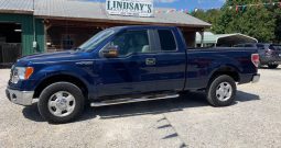 2010 FORD F150 B39448